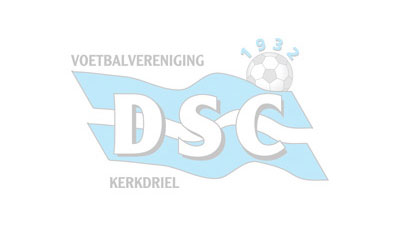 DSC JO13-1